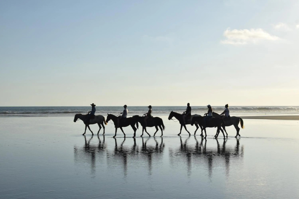 Palm Coast Luxury Rentals