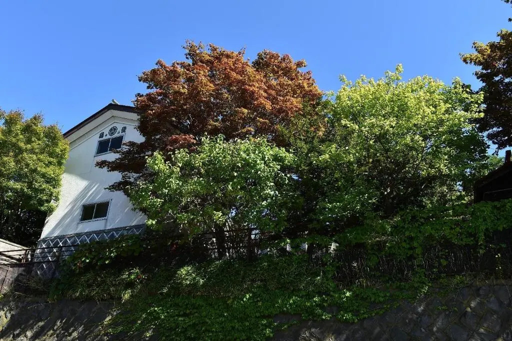 Greenheim Suitengushita / Vacation STAY 252