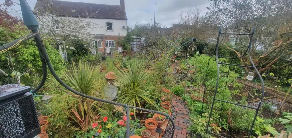 rosedale cottage