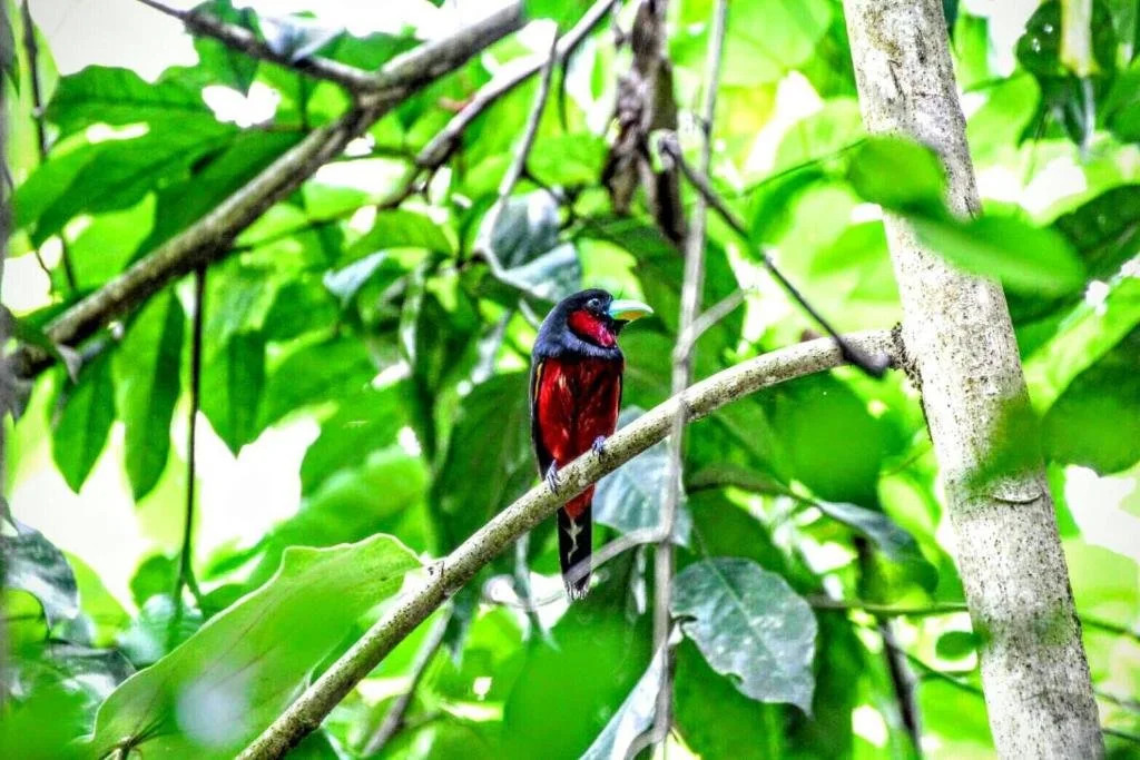 Kum Nangpaya