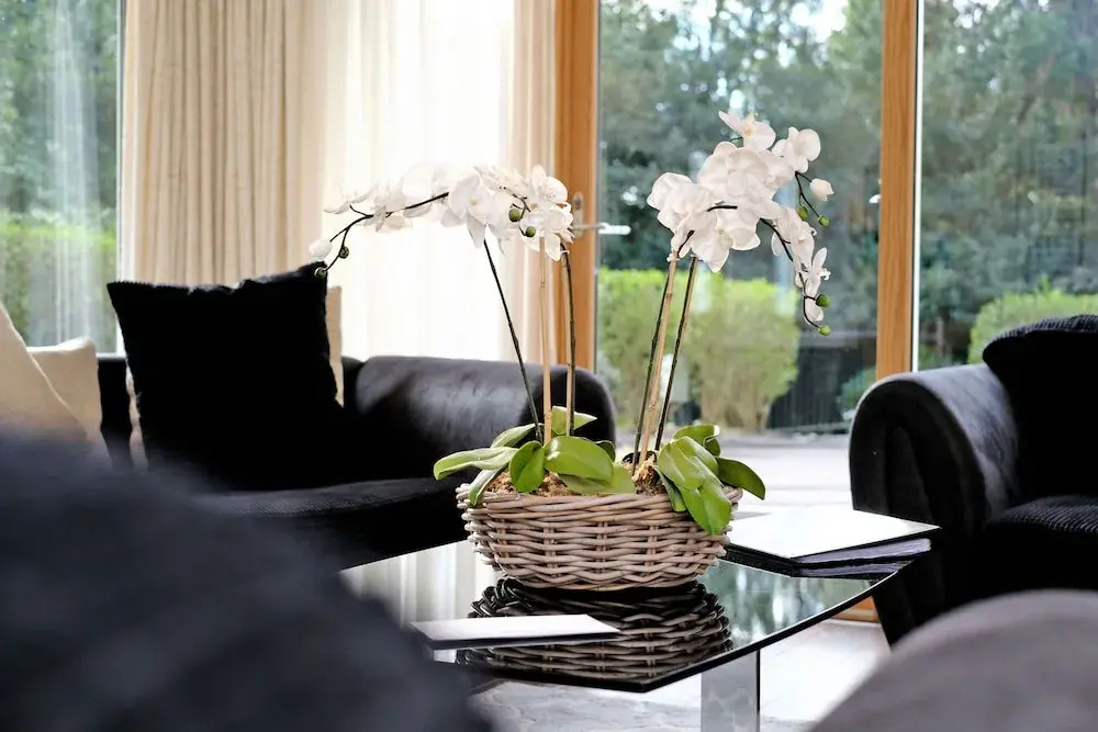Bright Cults Home Near to the River Dee