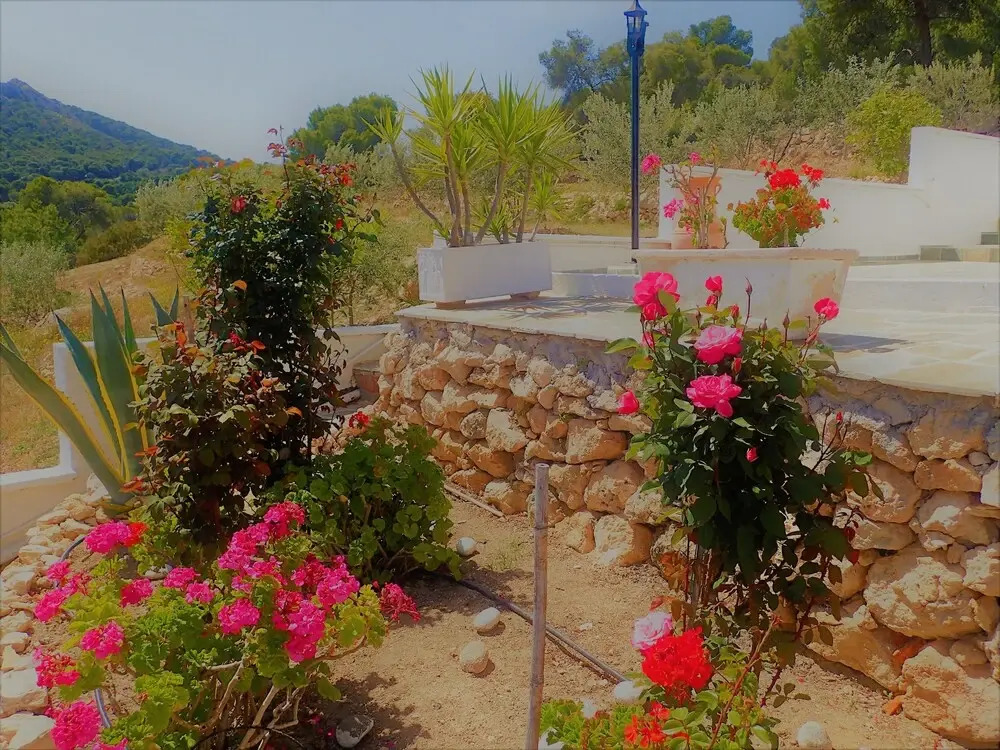 Pefkides Aegina Boutique Apartments