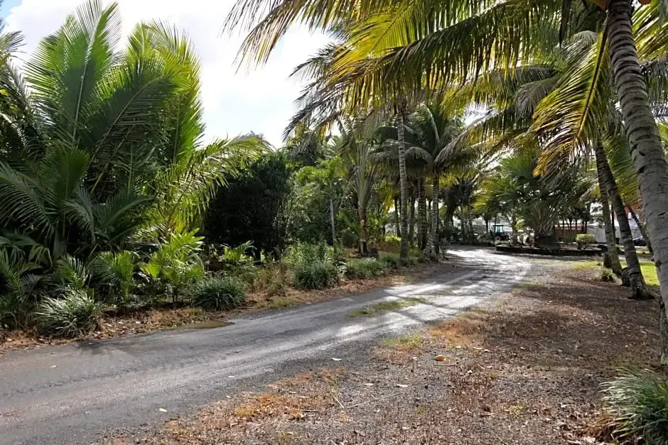 Domaine des Oiseaux Réunion