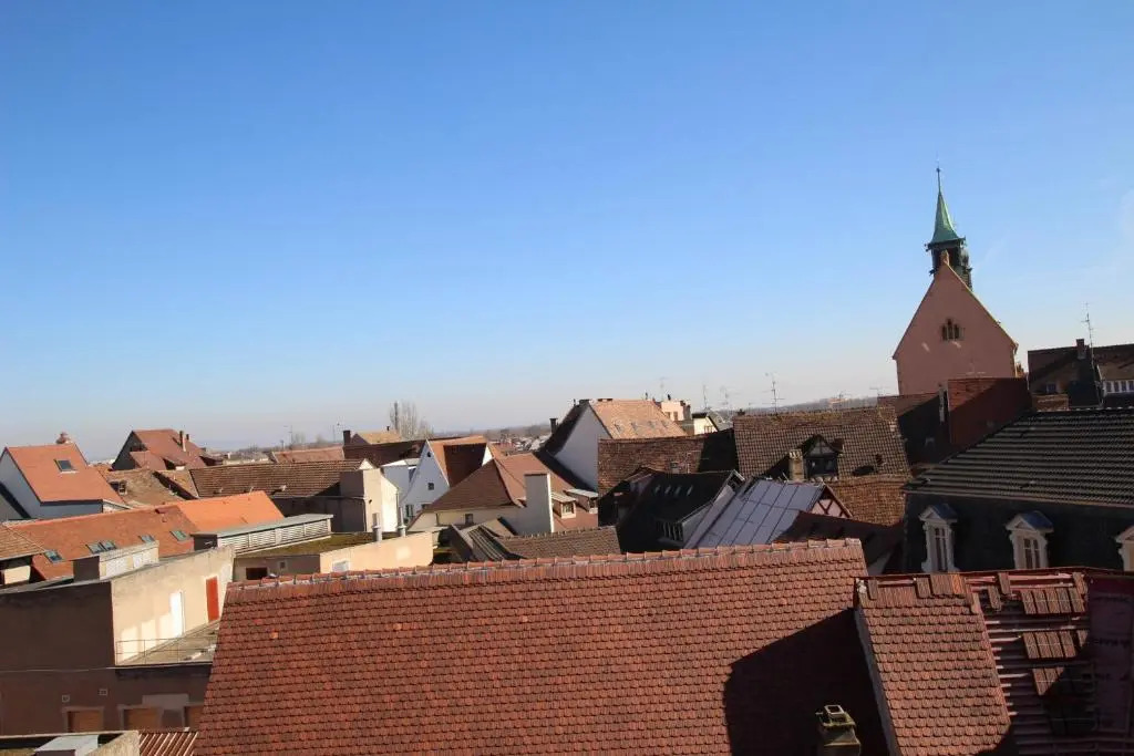 Colmar Historic Center - Cosy Appartement PETIT CATHEDRALE 2 - BookingAlsace
