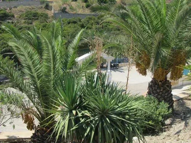 Paradise Studios