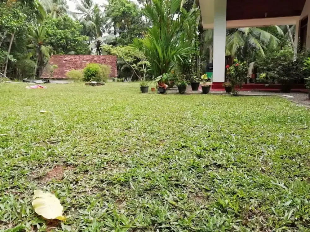 cocos villa hikkaduwa