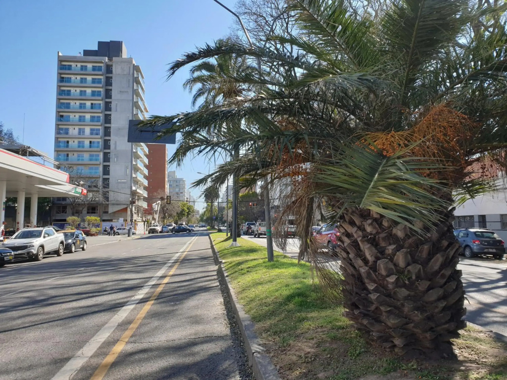 Hermoso departamento con vista al corazón de Rosario