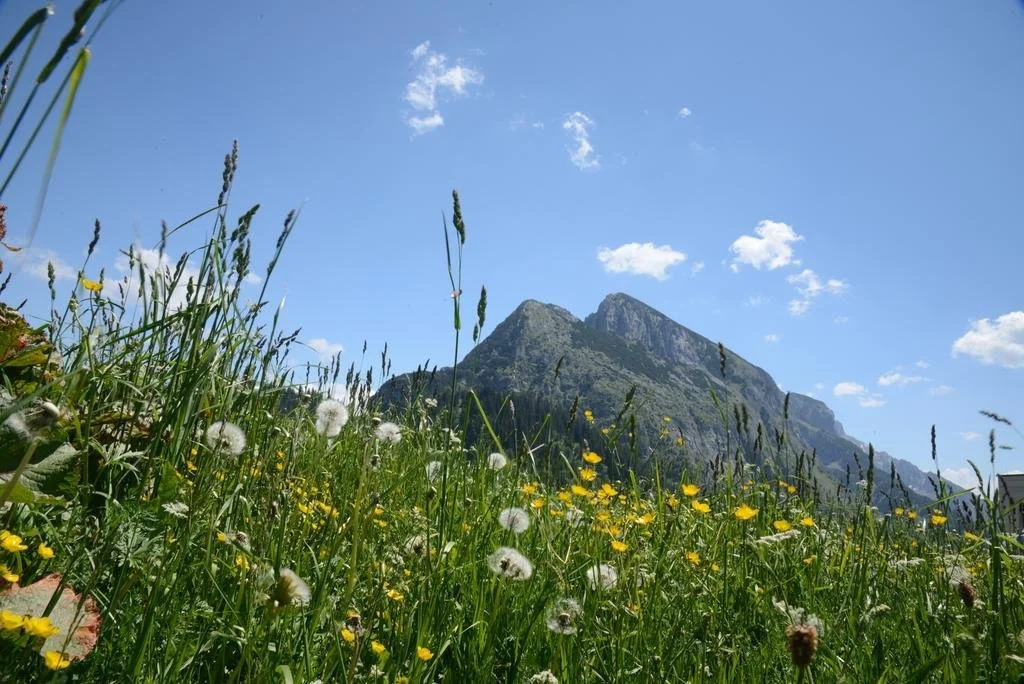 Der Alpenblick