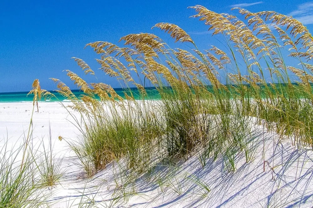 Beachfront #A104 - 2 Br Condo