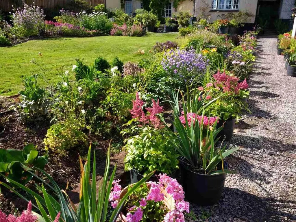 Brambles Bed and Breakfast