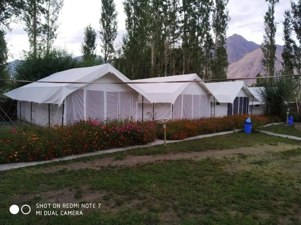 Lumbini Camp Hunder, Nubra Valley
