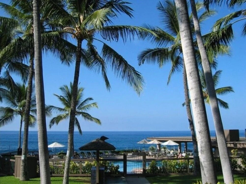 Kanaloa 202 by RedAwning