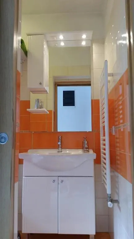 Apartments Antic