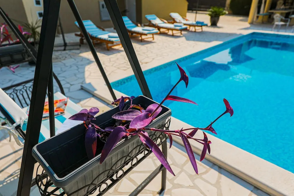 Villa Eleganza With Pool For 9 Guests , Zadar