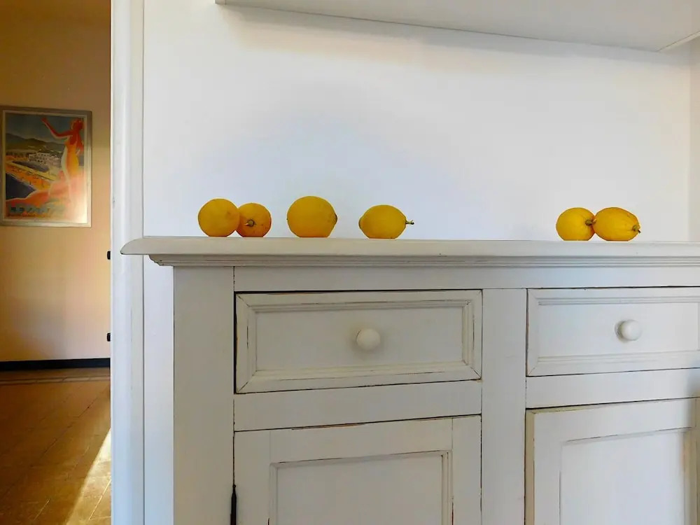 Welcome to Alma's House
