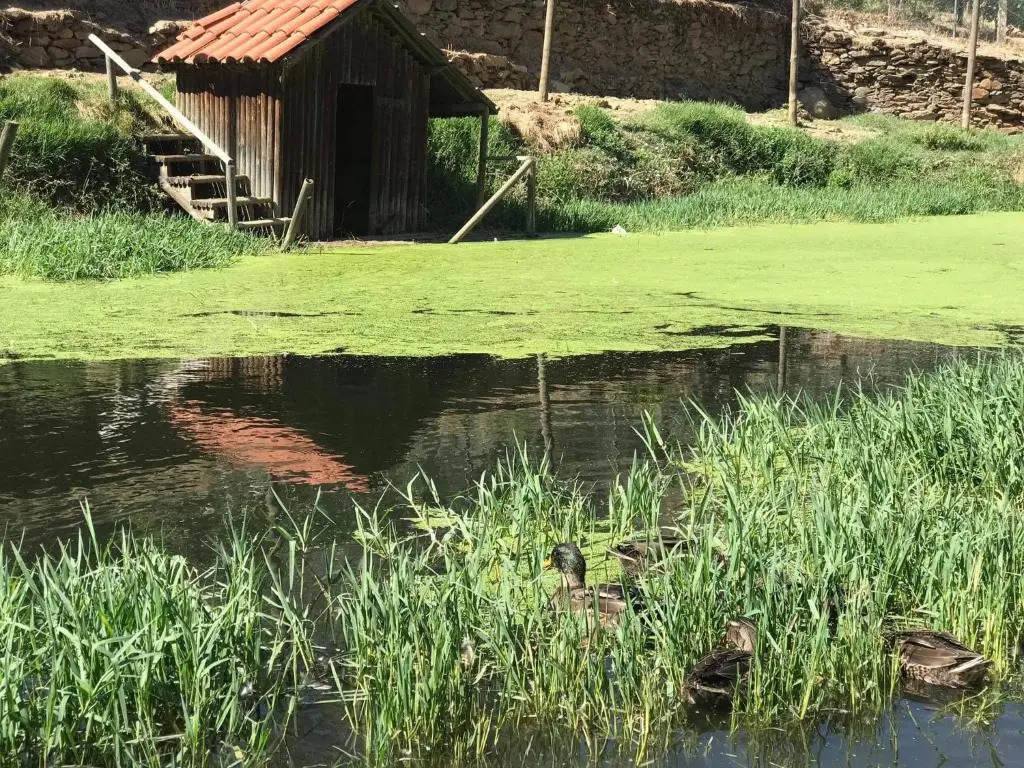 Valonquinta - Agro Hotel & SPA