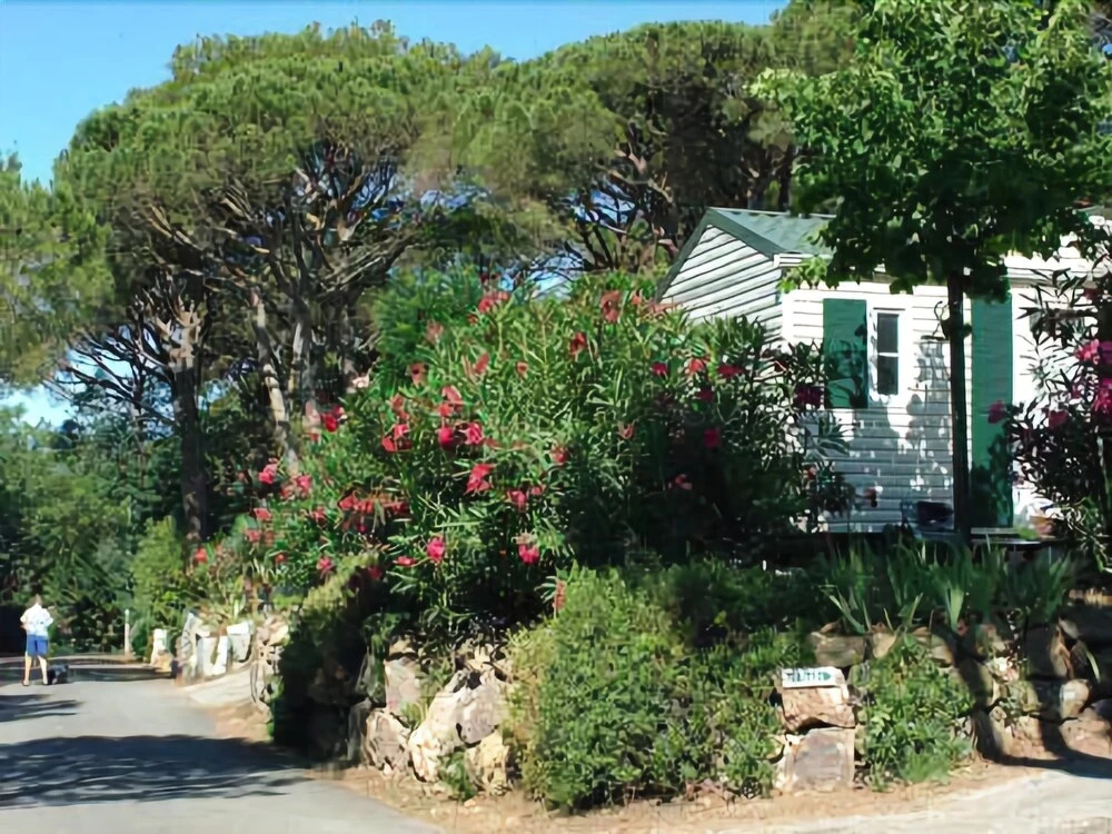 Douce Quiétude - Campsite