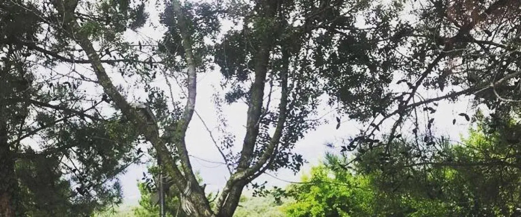 Ilıca Anatolia Keramet