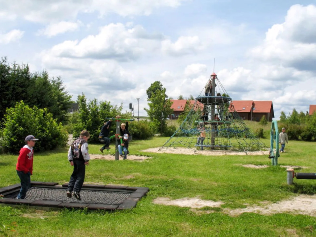 Auerhahn (Haf100)