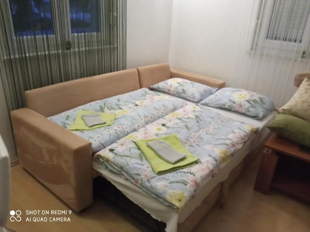 Yellow Rose