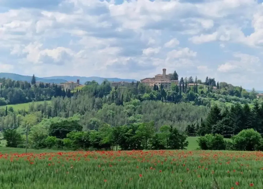 Rustic Holiday Home in Città di Castello with Swimming Pool