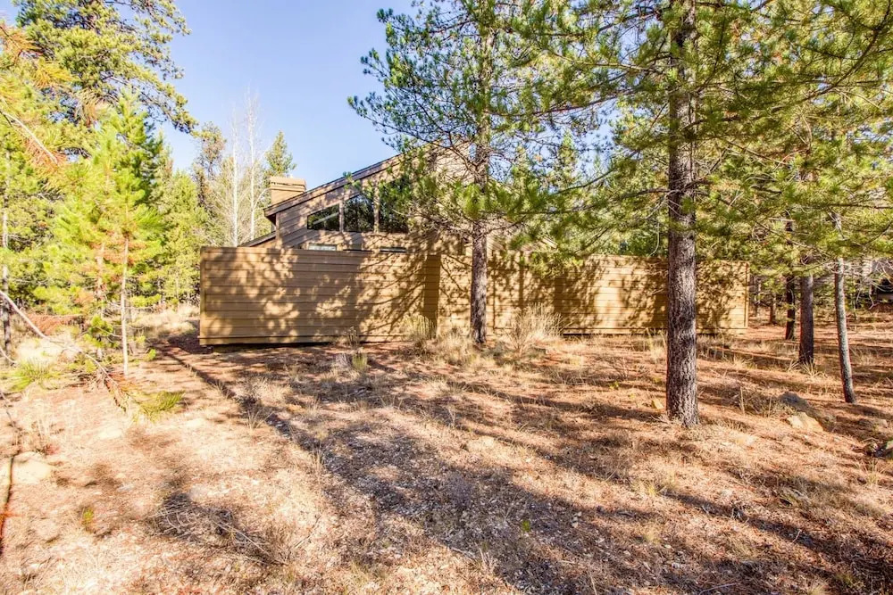 Yellow Pine 39
