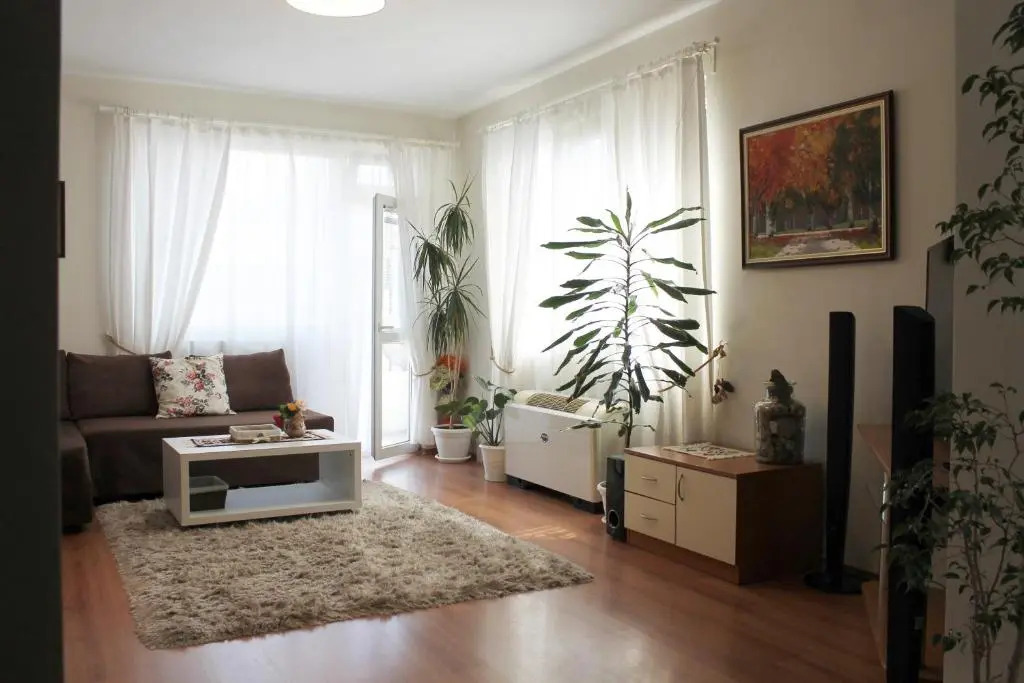 Sunny Day Apartment