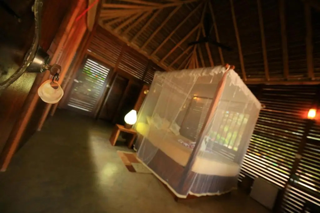 Mangrove Beach Cabana