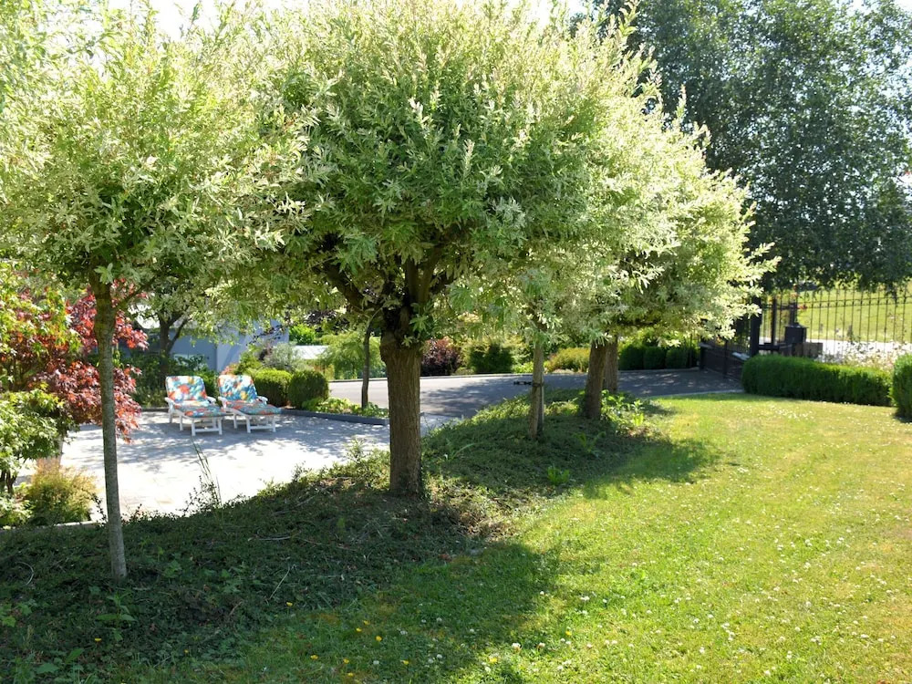 Charming Villa in Noirefontaine Near Forest