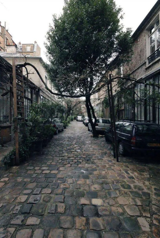 Short Term Apartment St Sabin