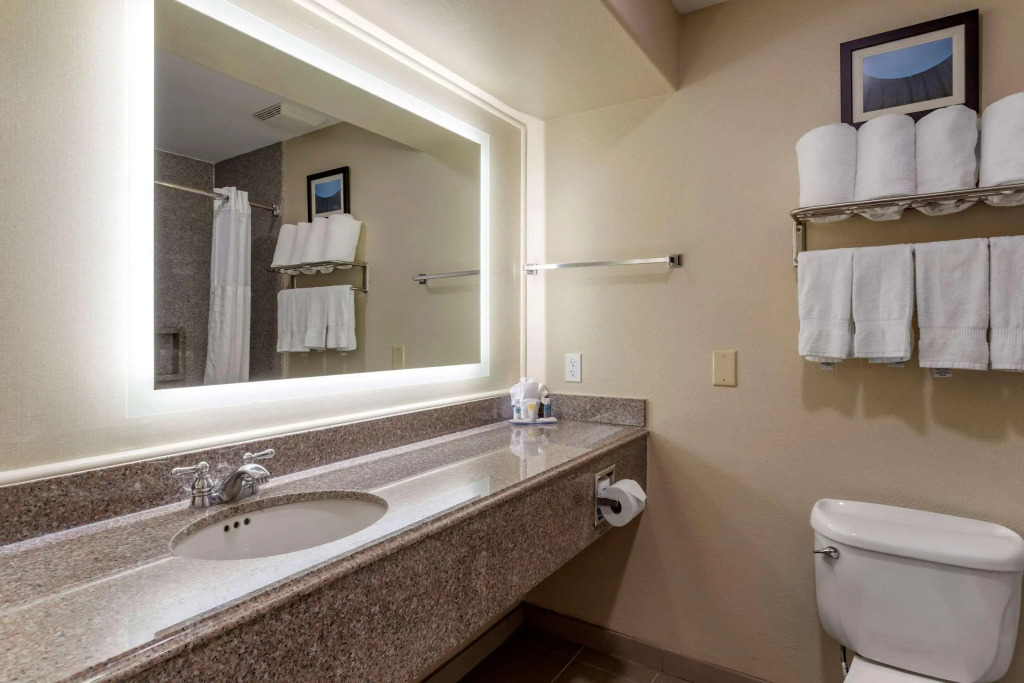 Comfort Suites Houston near Medical Center- NRG Stadium