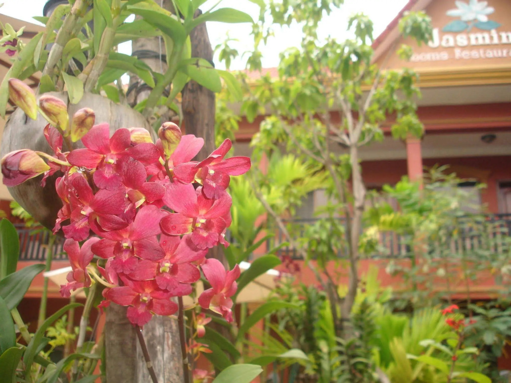 Jasmine Family Hostel