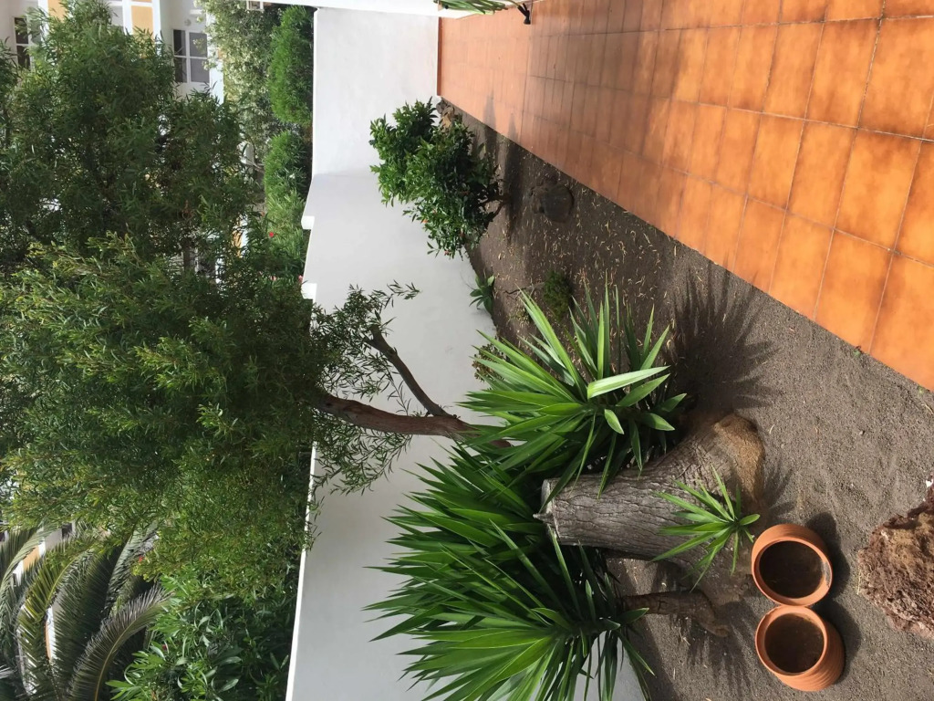 Apartamento con jardín y piscina B