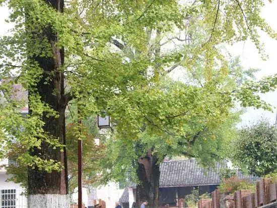 Tianyuan Inn