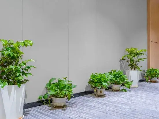 Zsmart Hotel (Hangzhou Huanglong Sports Centre Zheda Xixi)