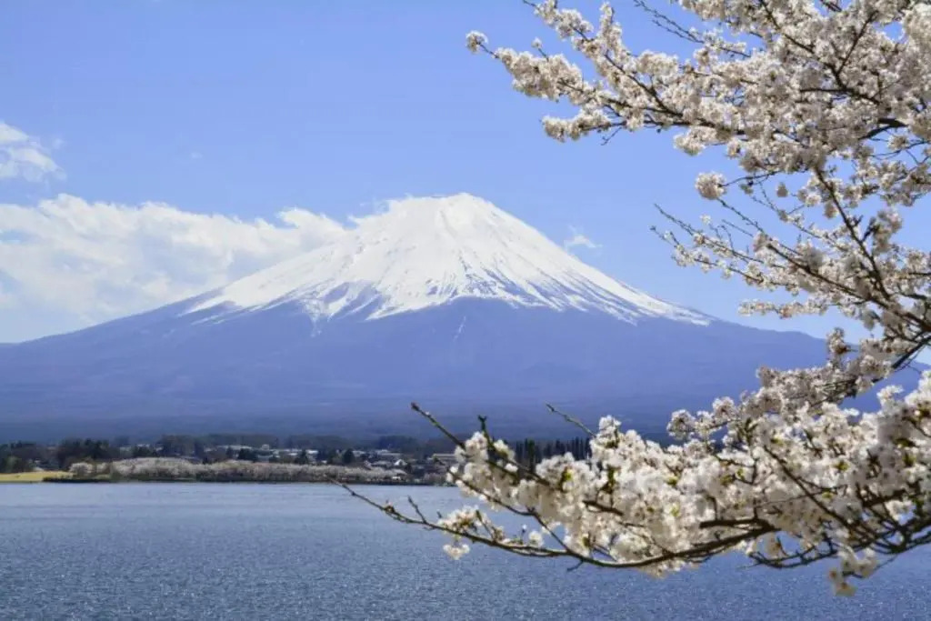 Laffitte Tokyo WEST