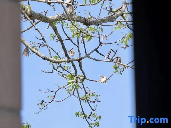Wanning Riyue Bay Yiye Xiangcun Vacation Apartment
