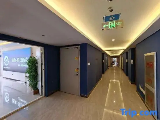 Whale · City Hostel (Heze Station)