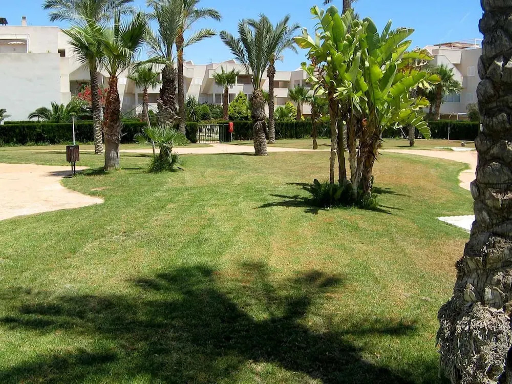 106449 - Apartment in Vera
