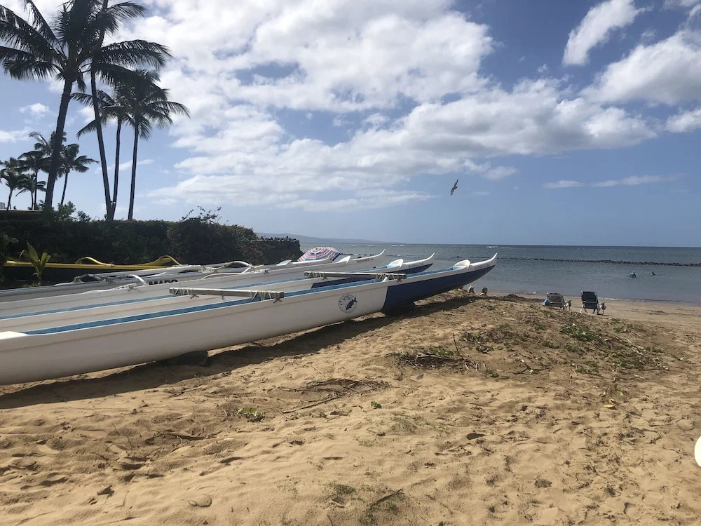 Chilled Coconut-steps To Beach! Free Wifi & Phone Studio Bedroom Condo