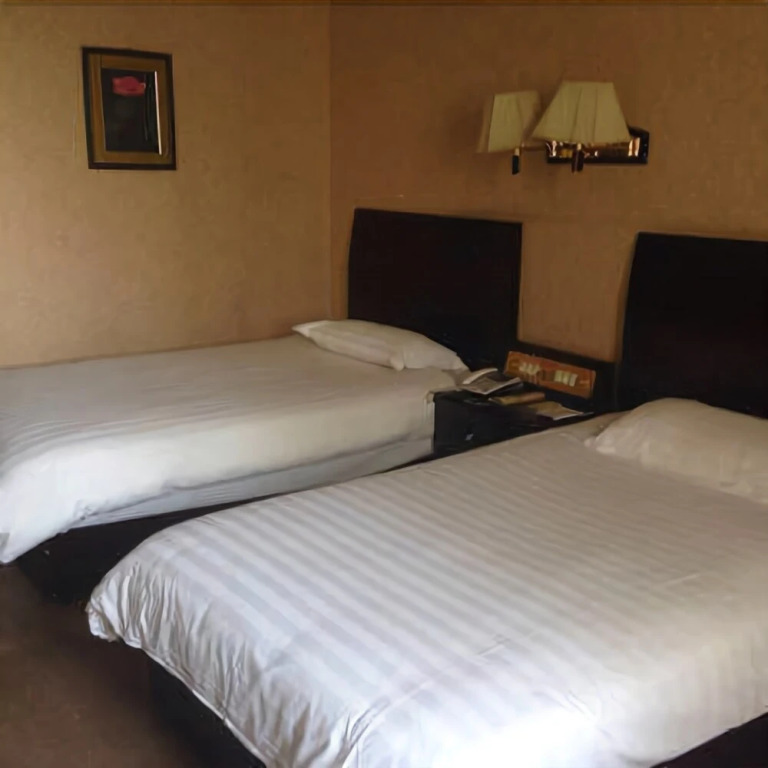 Qinglong Hotel Yichun