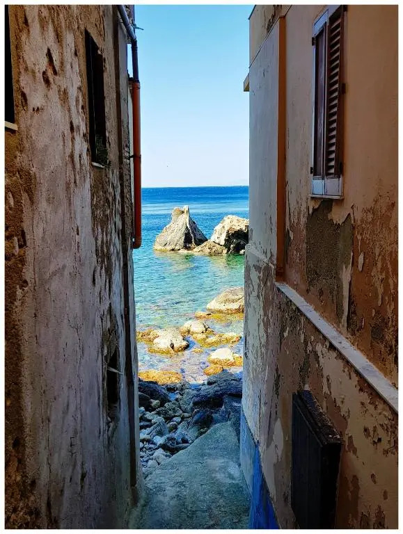 Sea Suite 26