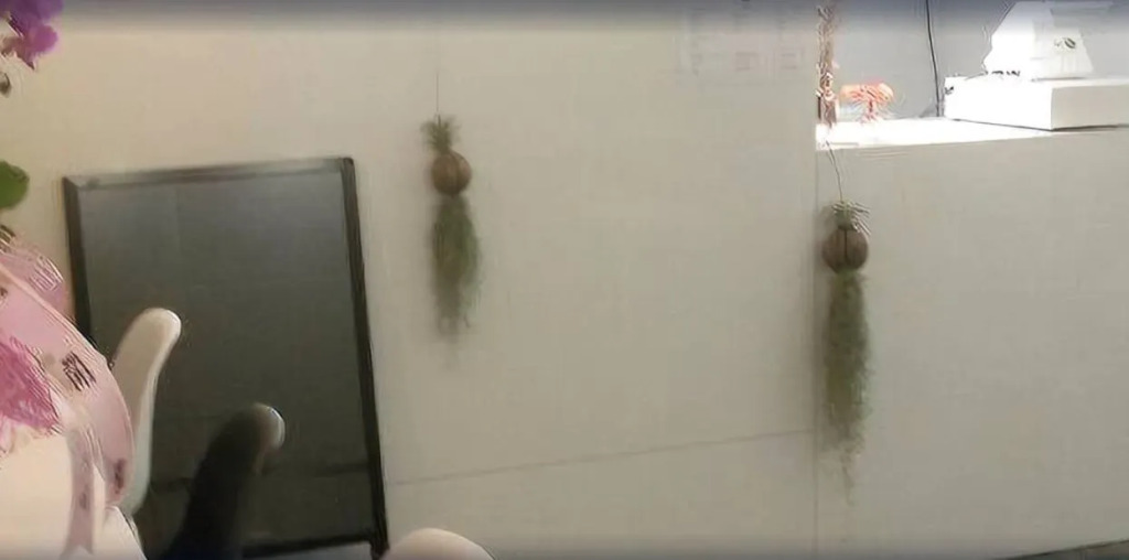 Hotel MoMo