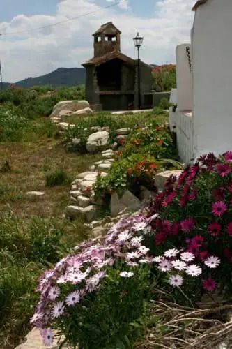 Posada Humblebee Home