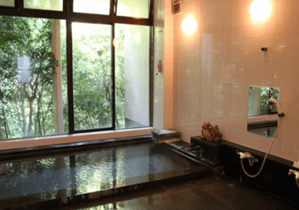 Hakone Gora Onsen Aoiso