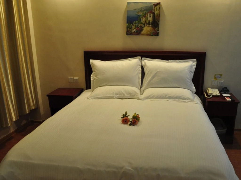 GreenTree Inn Jining Qufu East Jingxuan Road Sankong Express Hotel
