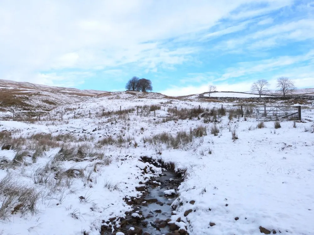 Whitewell Cottage
