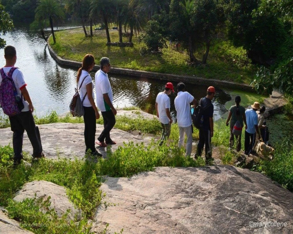 Shikar Oudi Jungle Villa