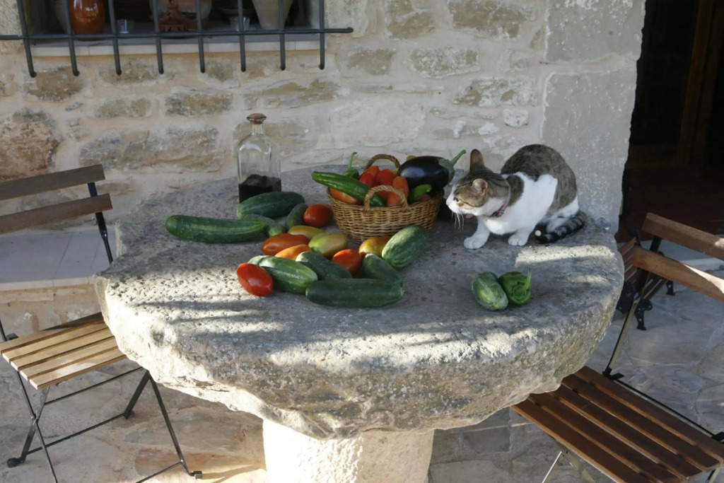 Hort de LAubert