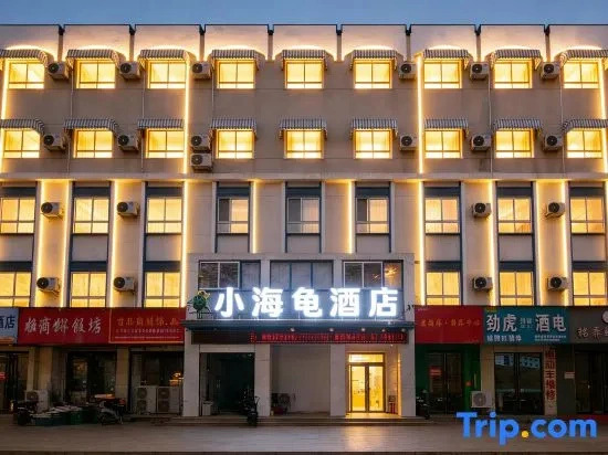 Turtle’s Hotel